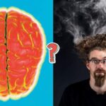 QUIZ WIEDZY: QUIZ WIEDZY: Quiz o mózgu człowieka