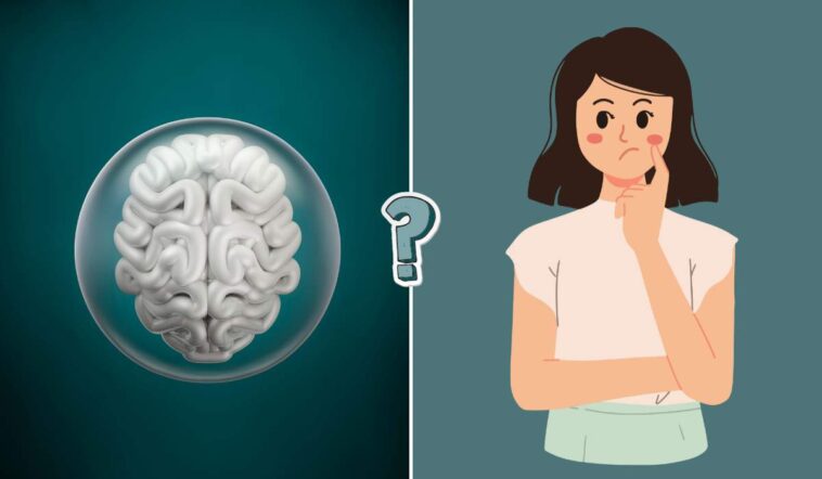 QUIZ: Ile wiesz o mózgu?