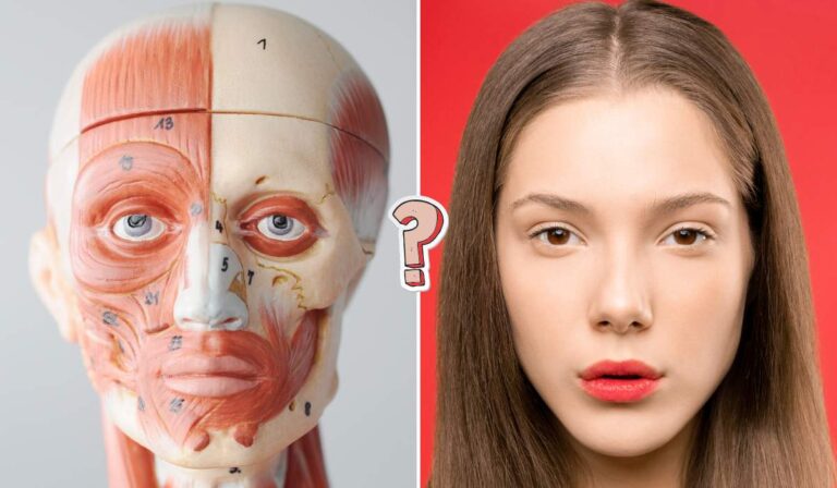 QUIZ: Znasz dobrze swoje ciało?