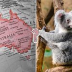 QUIZ: Ile wiesz o Australii?