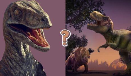 QUIZ: Trudny quiz o dinozaurach