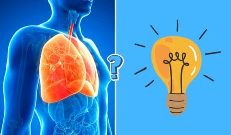 Ten quiz z biologii zaskoczy cię pytaniami
