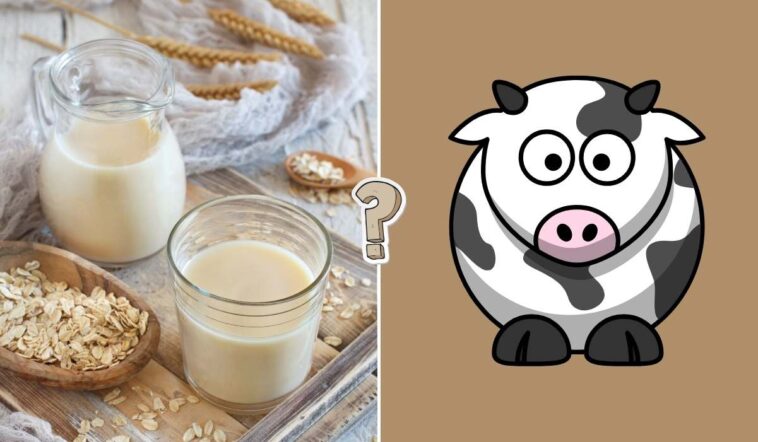 QUIZ: Ile wiesz o mleku?