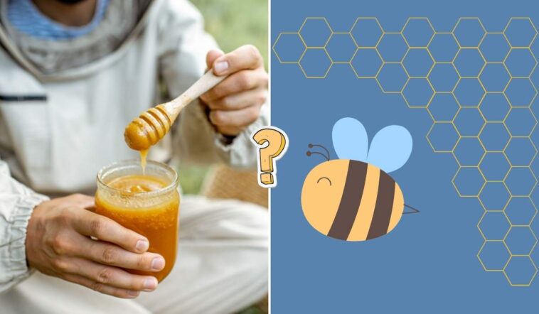 Quiz o pszczołach
