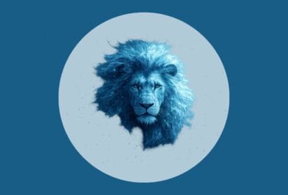 Opowieści z Narnii - TEST